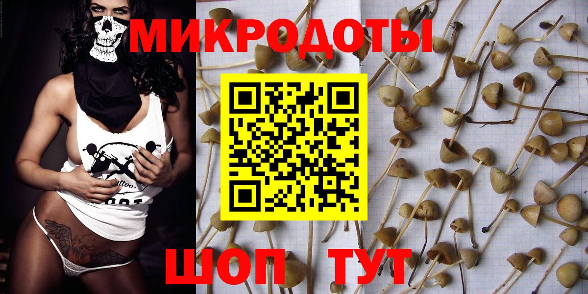Псилоцибиновые грибы Psilocybine cubensis Хасавюрт